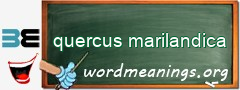 WordMeaning blackboard for quercus marilandica